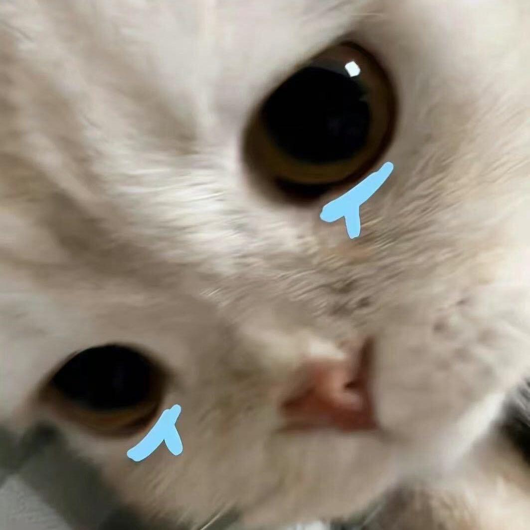 一不小新