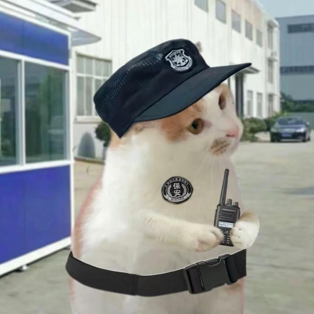 🌈迪士尼在逃保安佩佩子✨