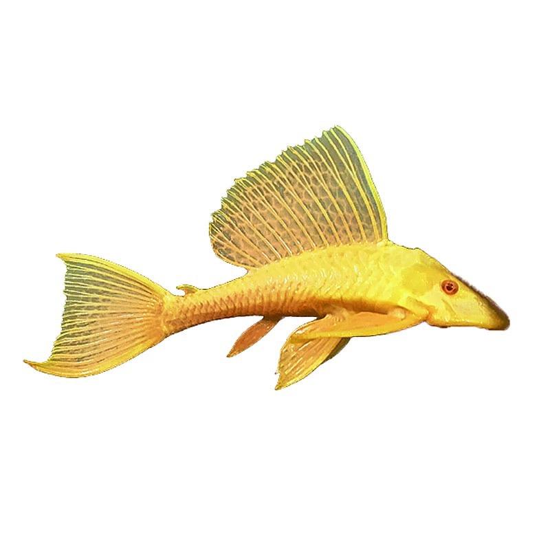 一山水宠优品小铺