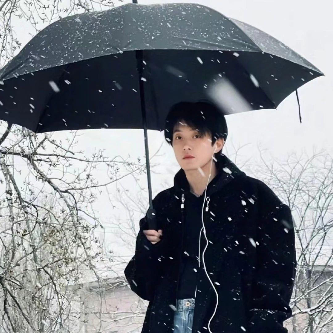 绝世的容颜：