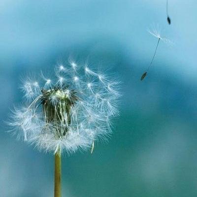 时尚轻奢潮鞋坊