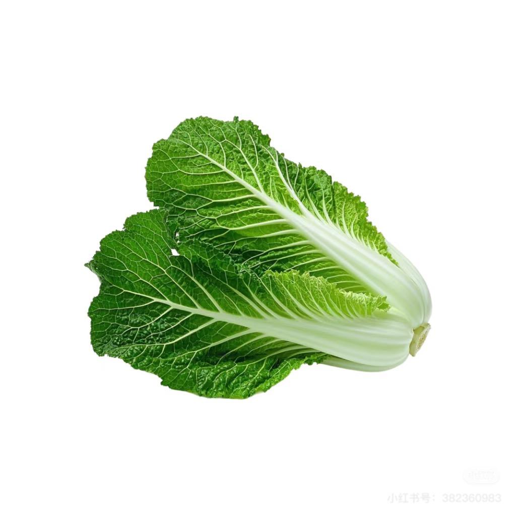 蔡不菜