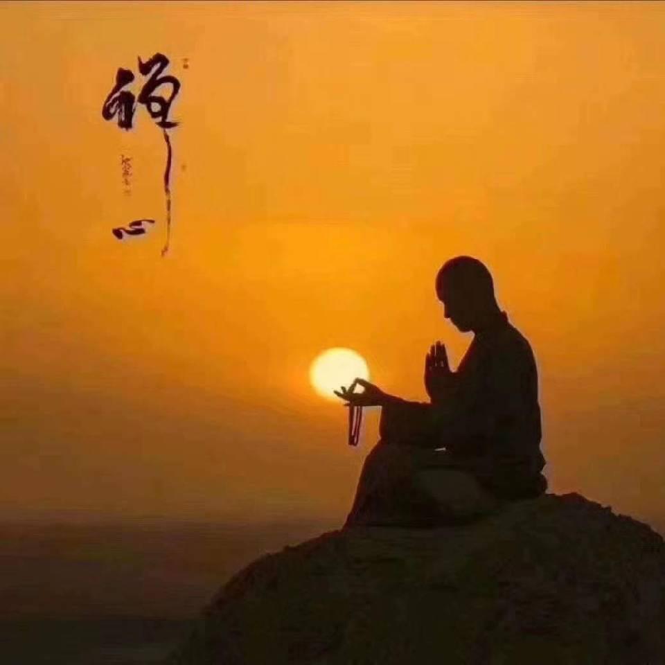 快放开那只奥巴🐎马