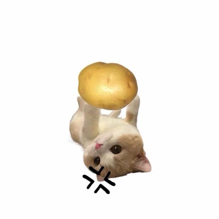 紫拉