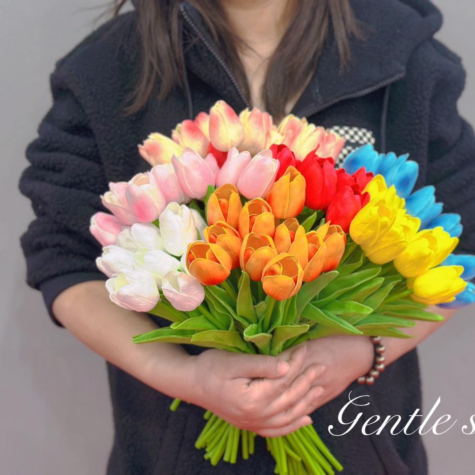 宸宸-紫罗兰-郁金香（源头工厂）