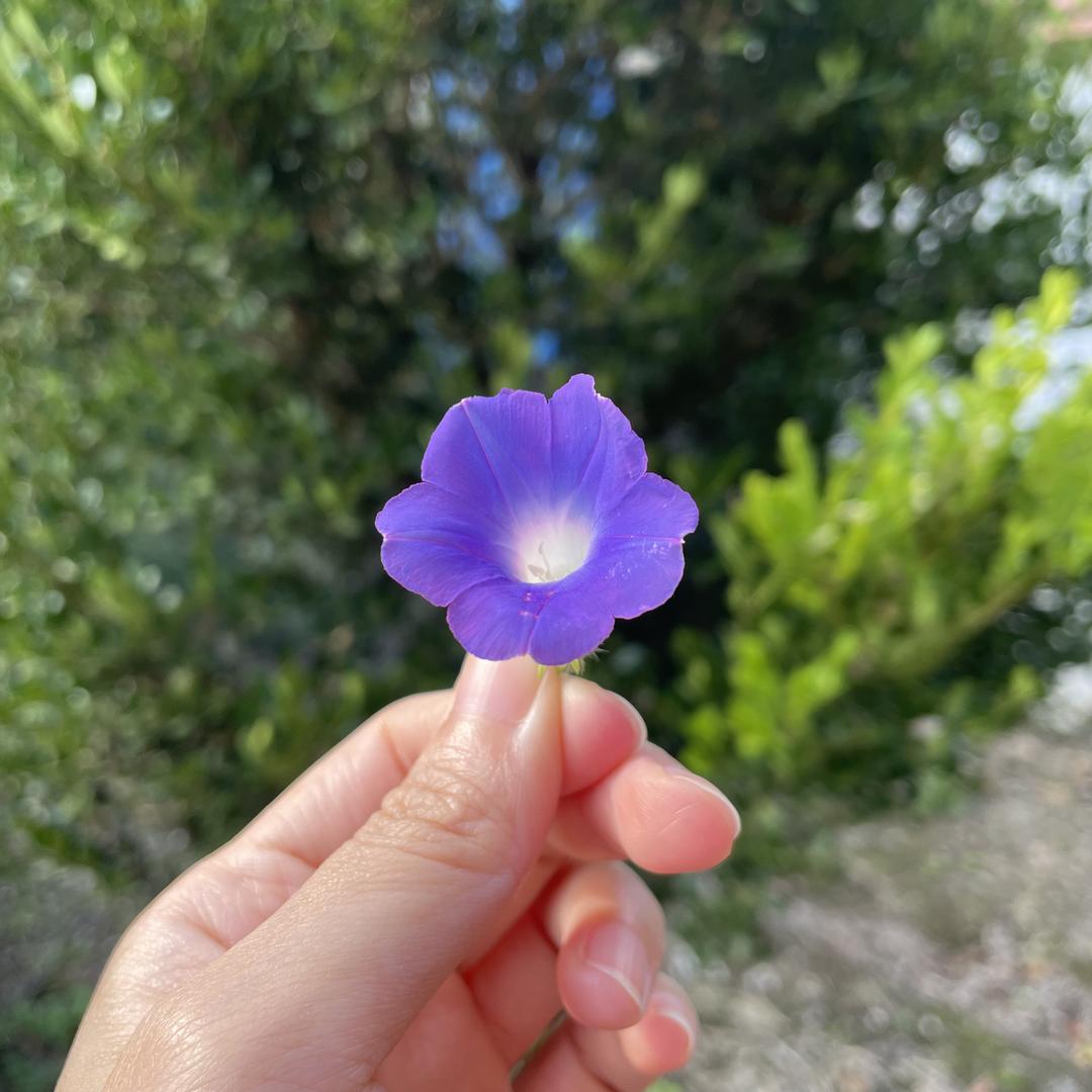 一米阳光