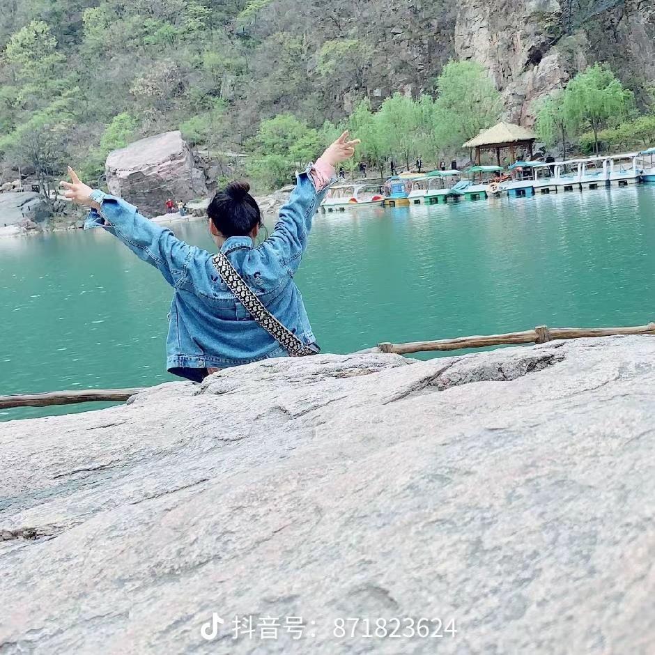 观赏凤