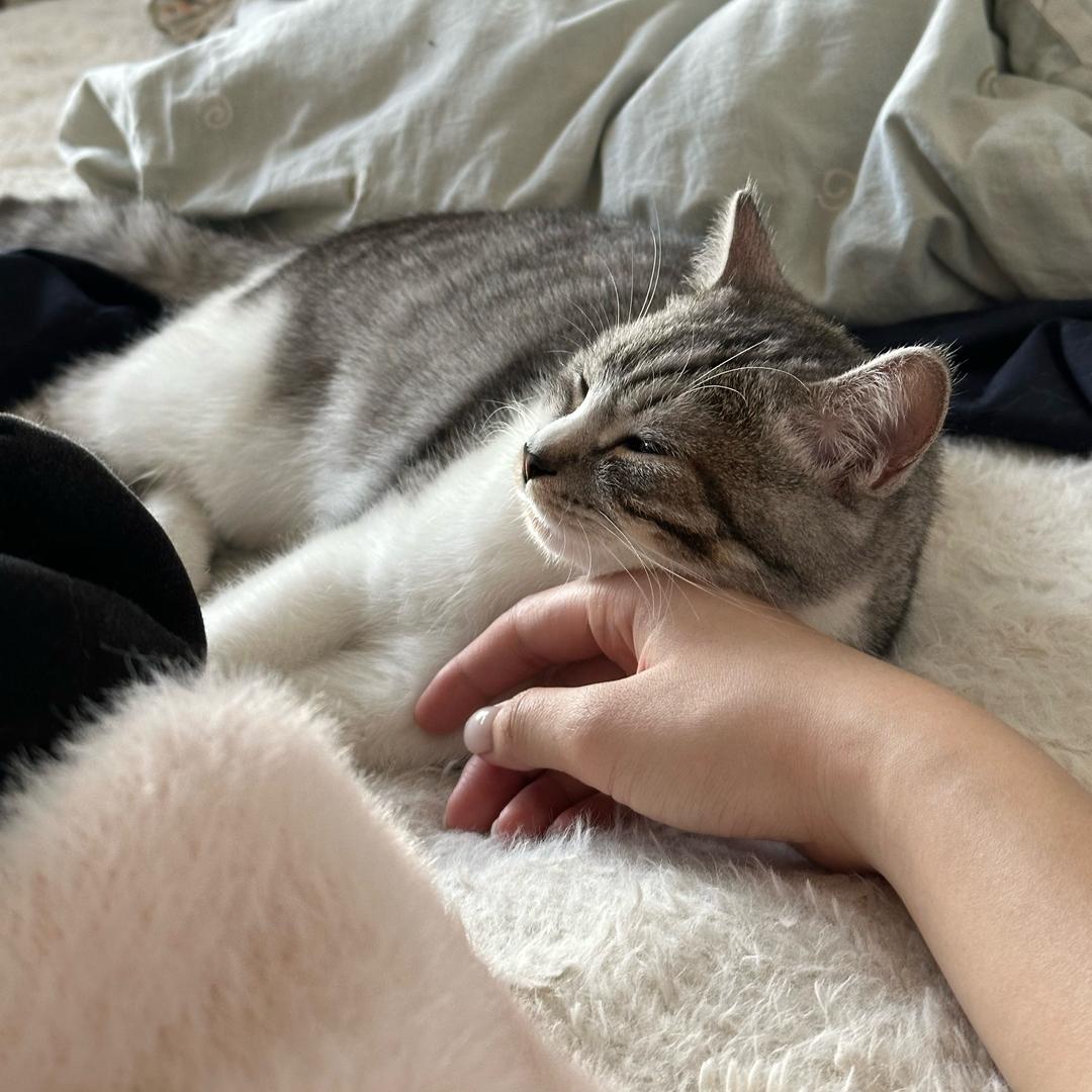 辣椒炒肉🐈‍⬛