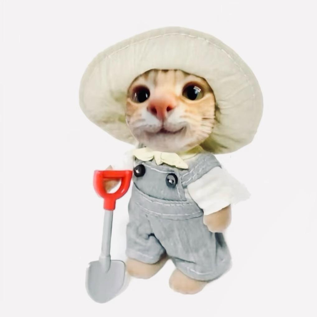 慢煮生活