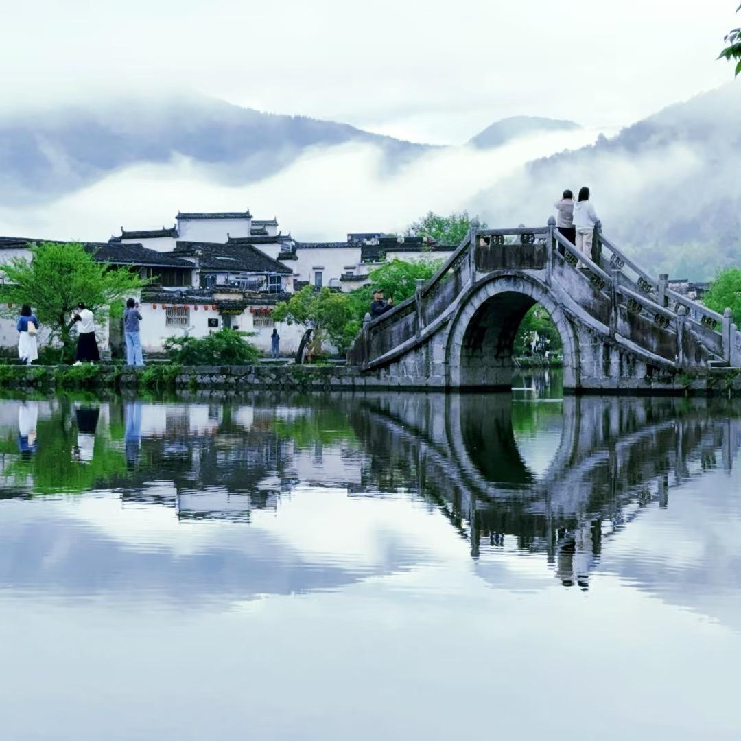 特毛驴环游记