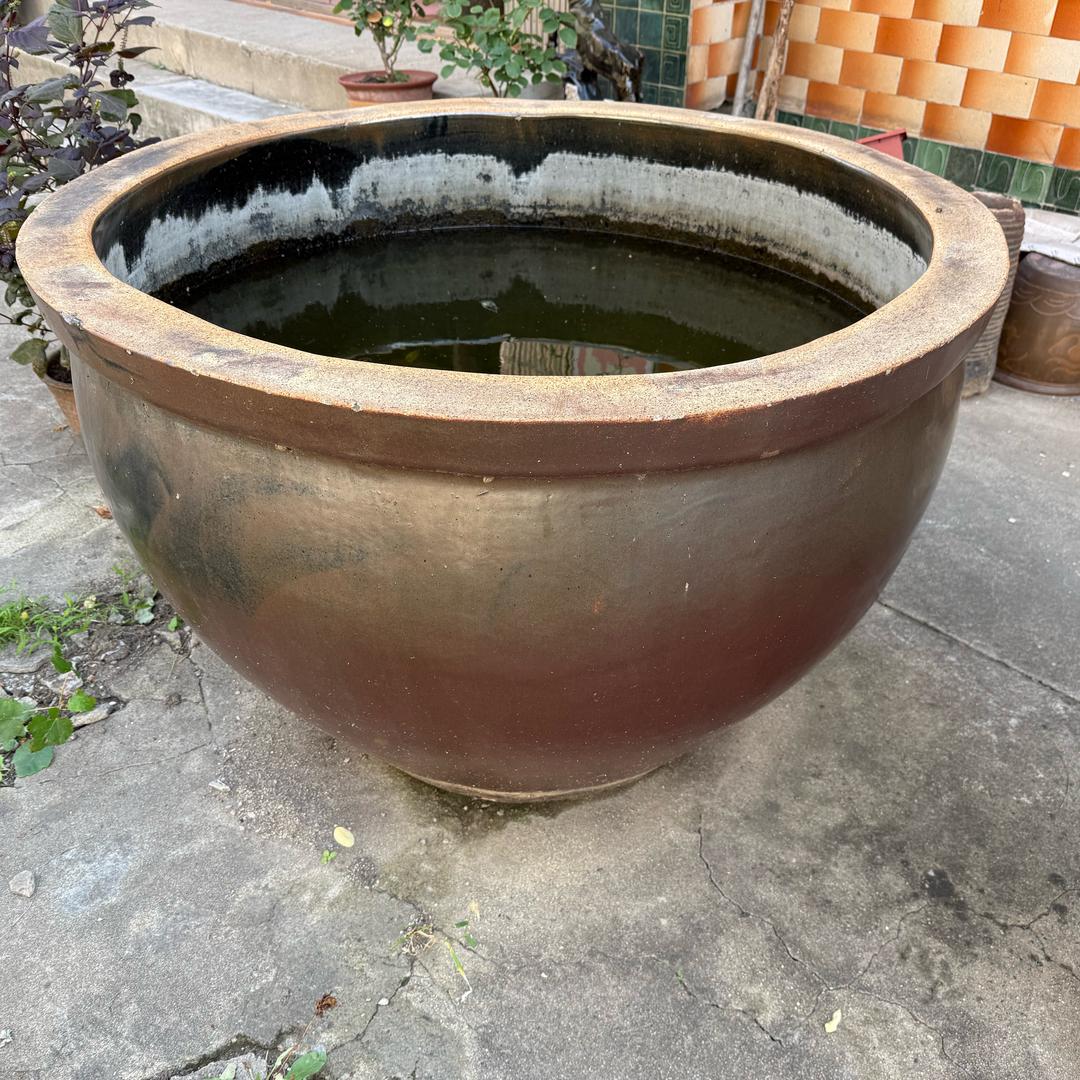 天恩永沐