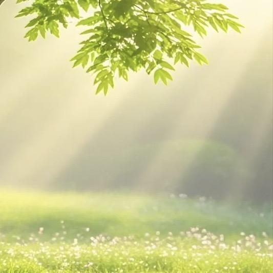 严选·精油洗护