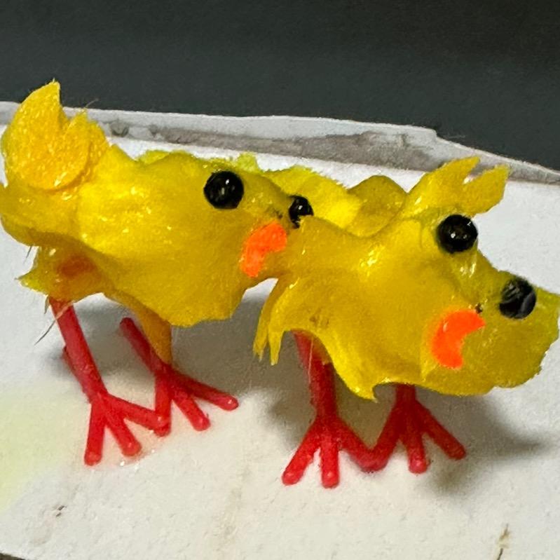 操心的鸡妈妈
