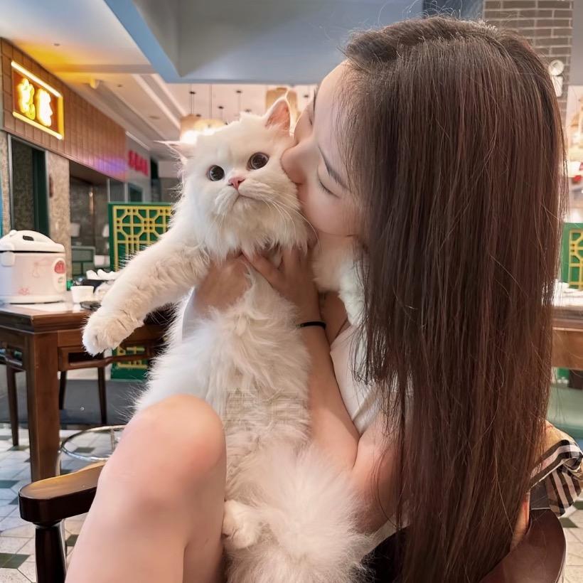愿