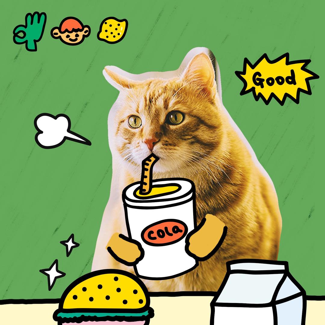 爱喝可乐的🐱