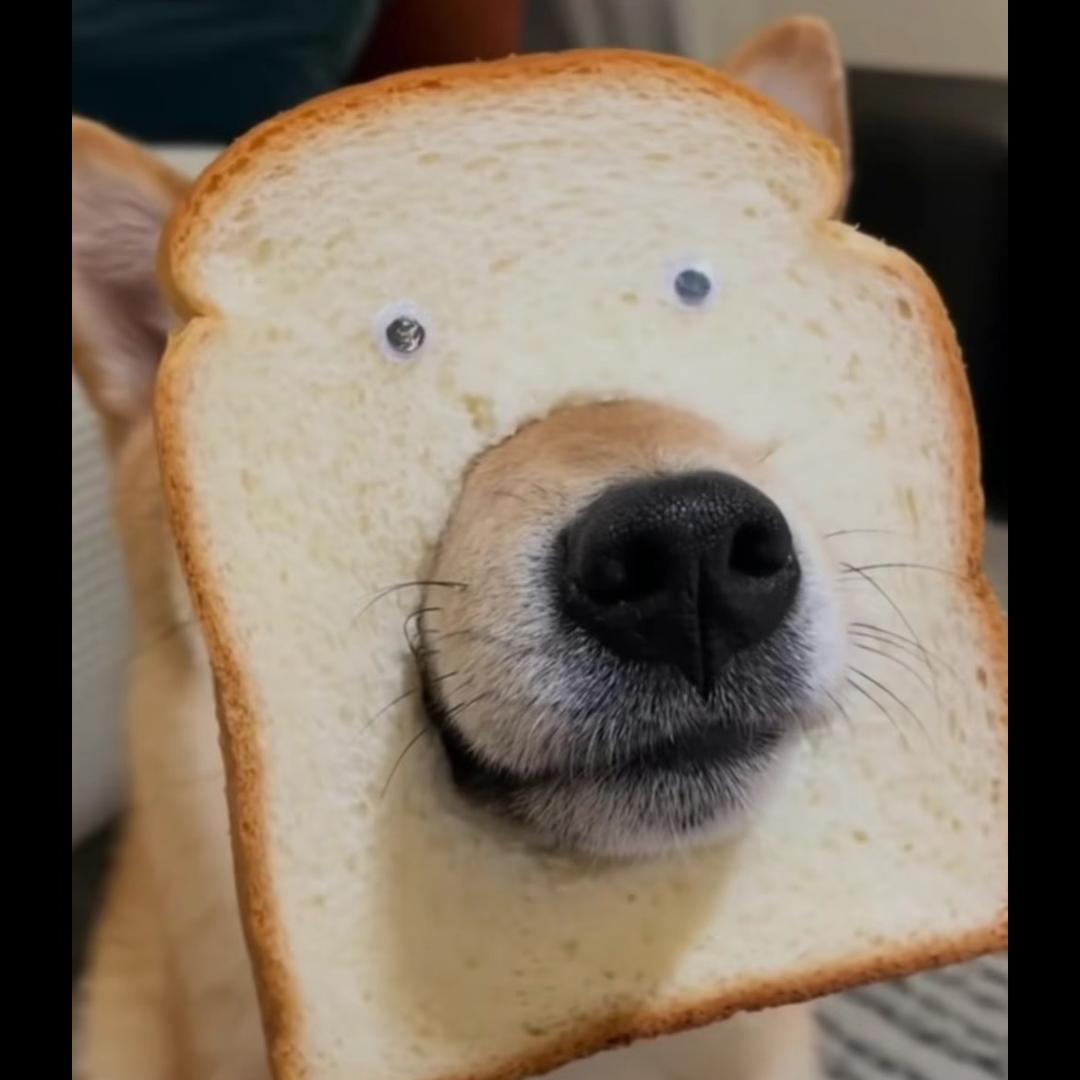 半生浮华半生梦