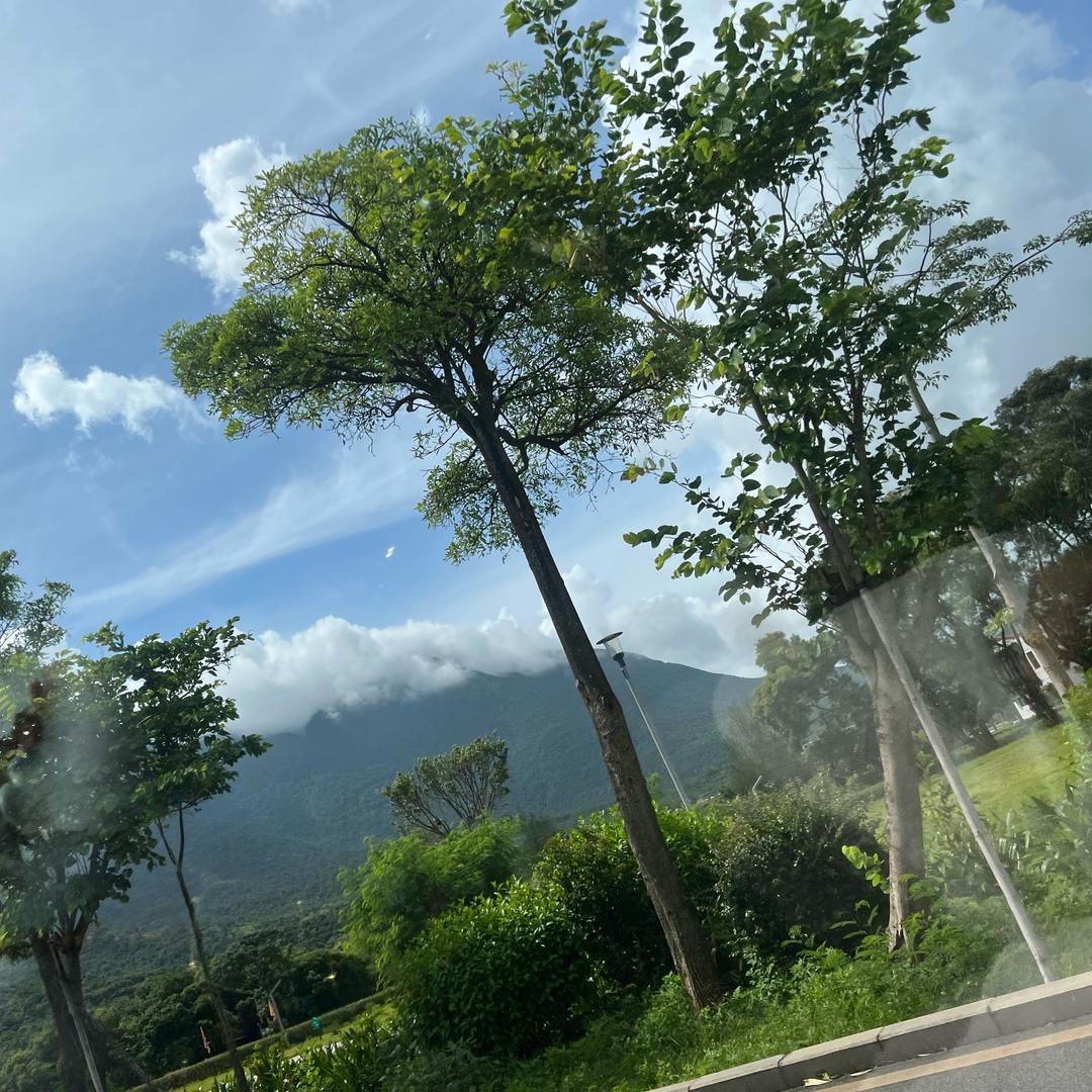 公安系统正在进入