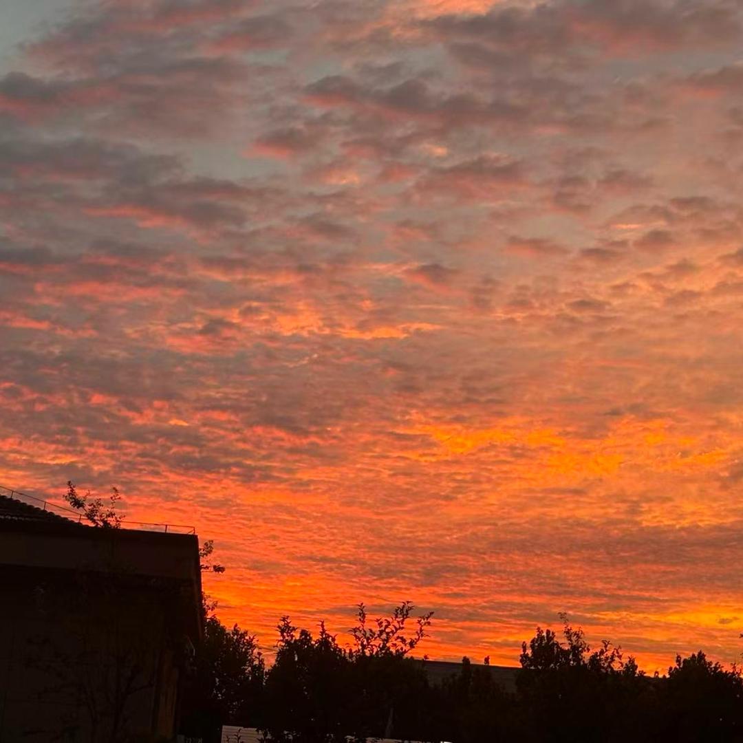 ꧄ꦼ💖🍒ོ执着🌈᭄☪️༄