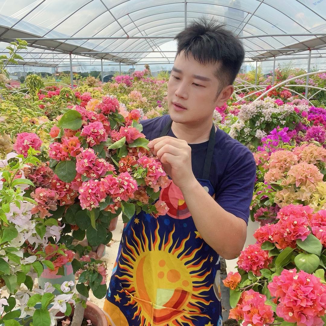 小鱼老师陪你养花