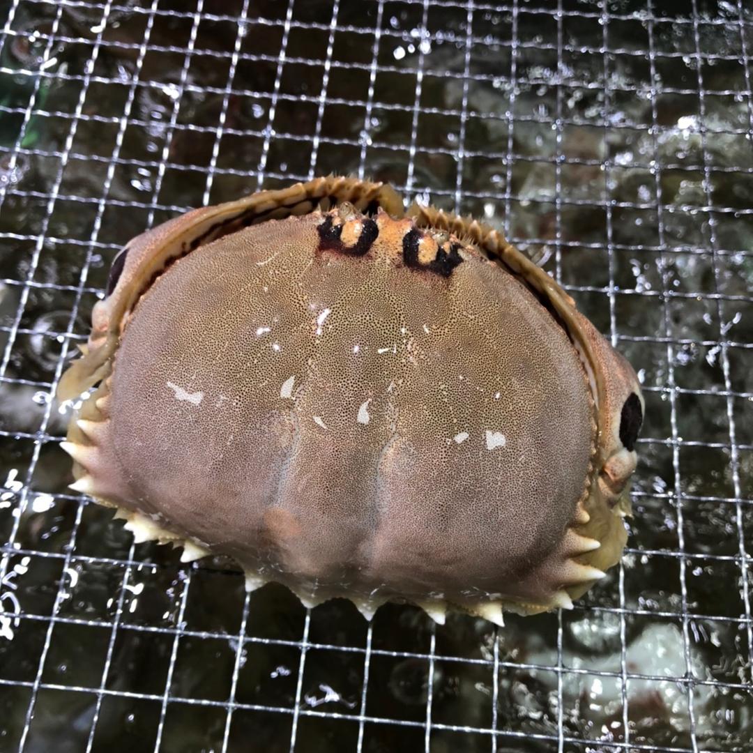 书村市场-迓仔海鲜