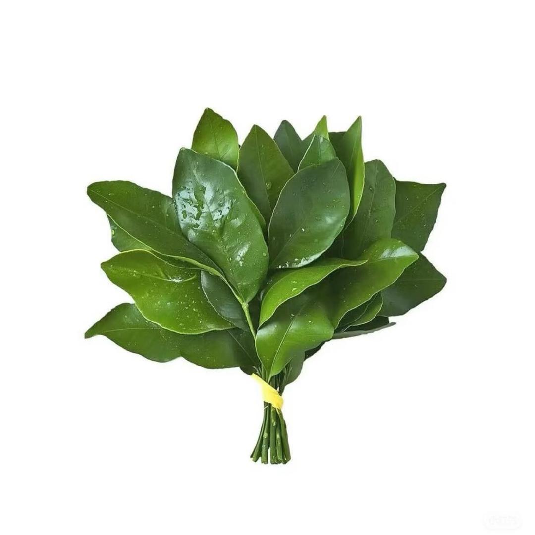 小羊蛋卷