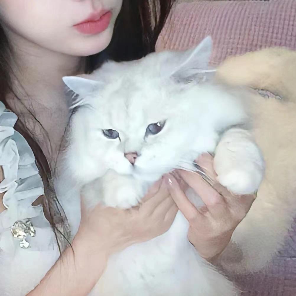 蹊言