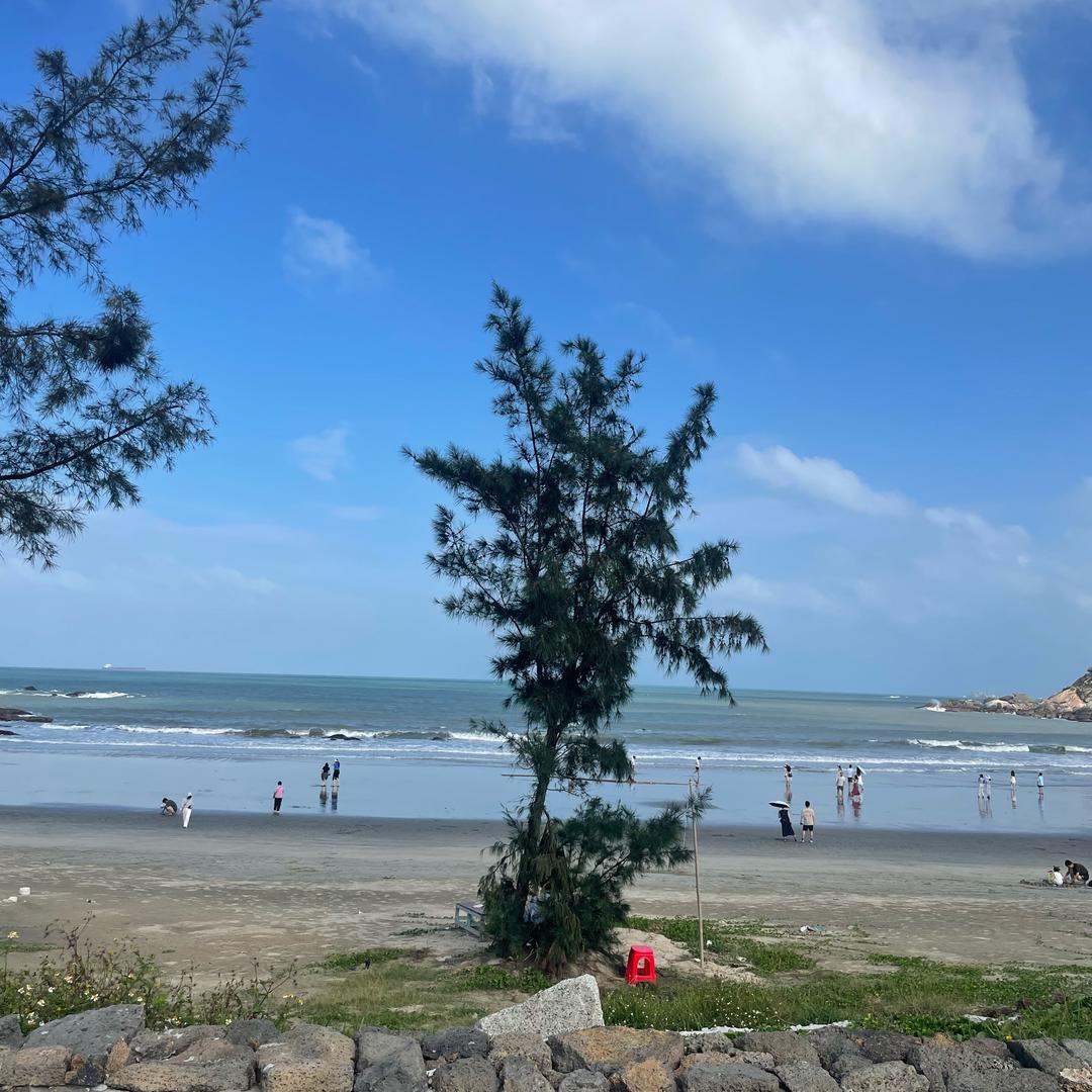 泽泽～成长记录