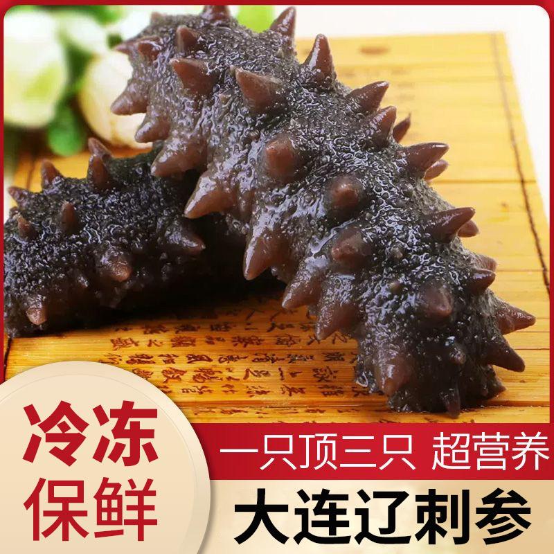 青岛同城鲜食海参-小时达