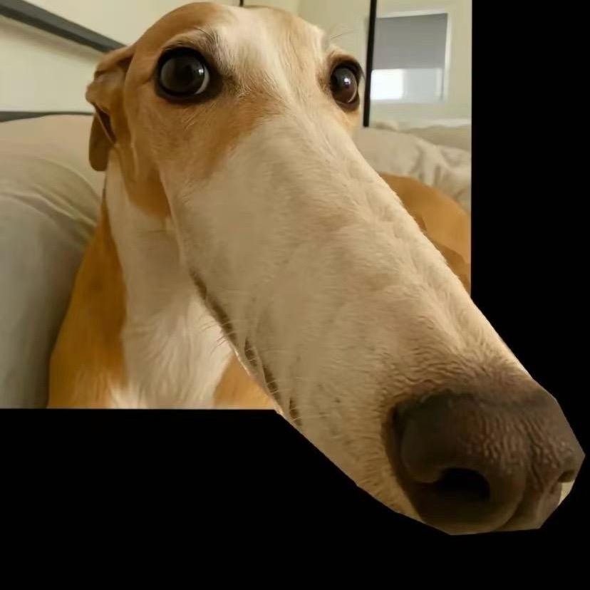 薯条（疯狂工作版本）