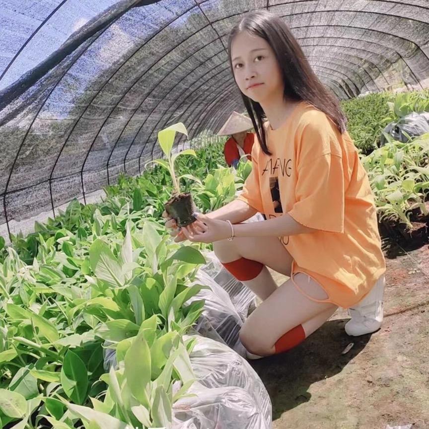 小刘爱吃肉