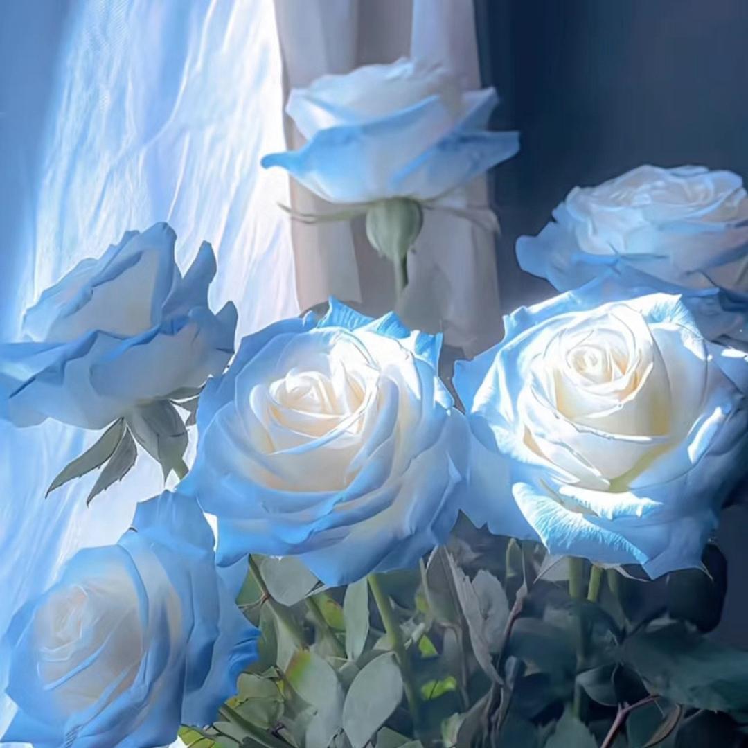 思源花卉鲜花