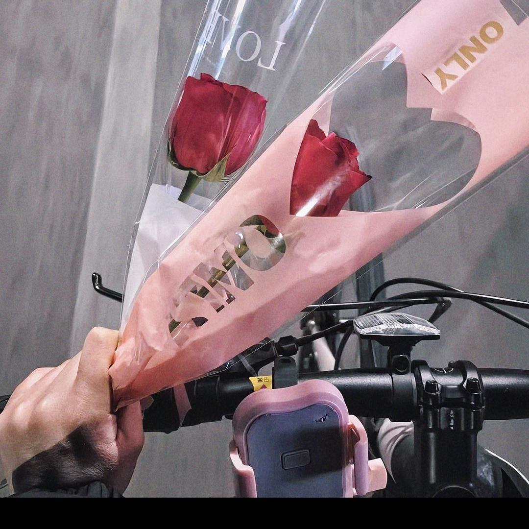 肥美的瓜子仁