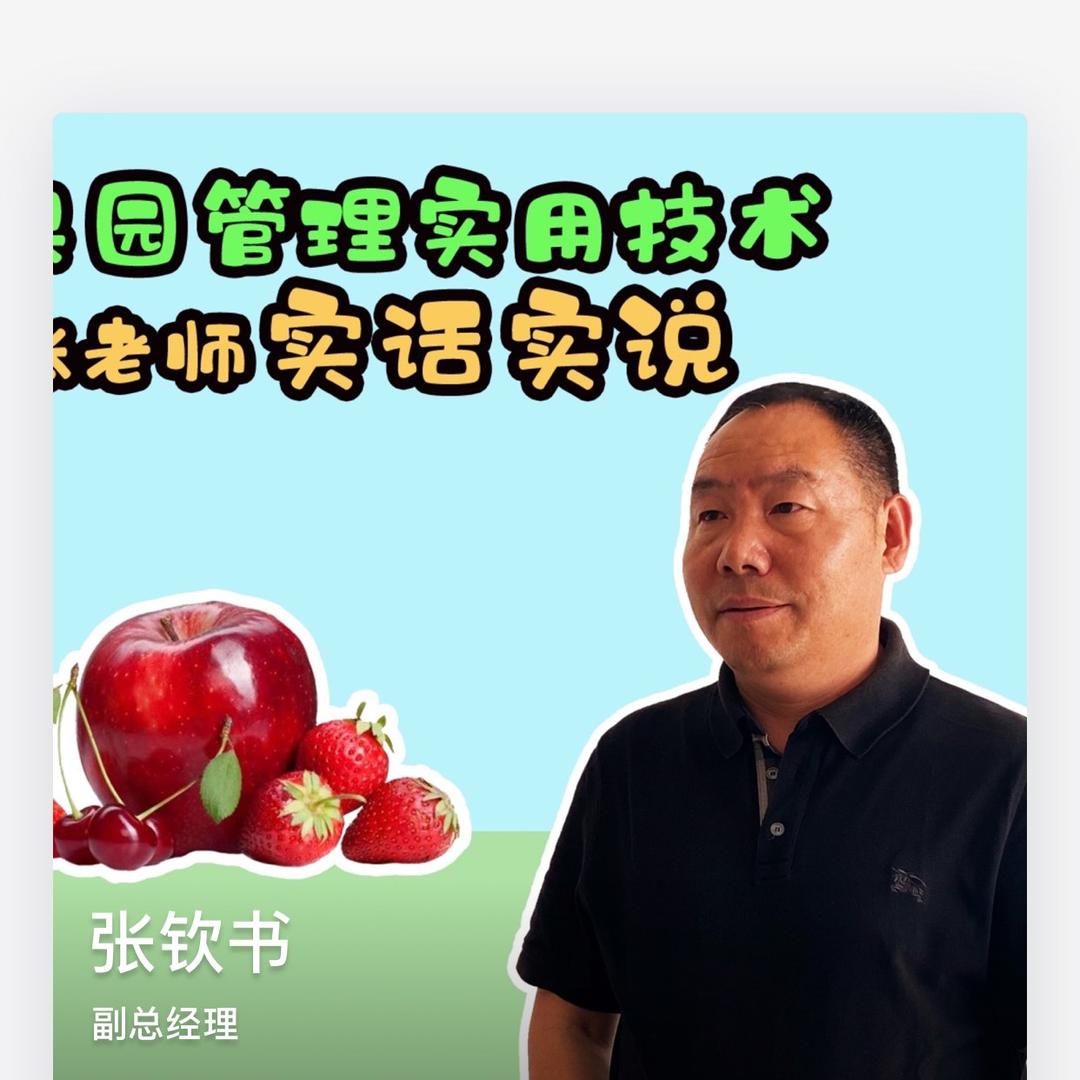 螺丝钉一一张钦书