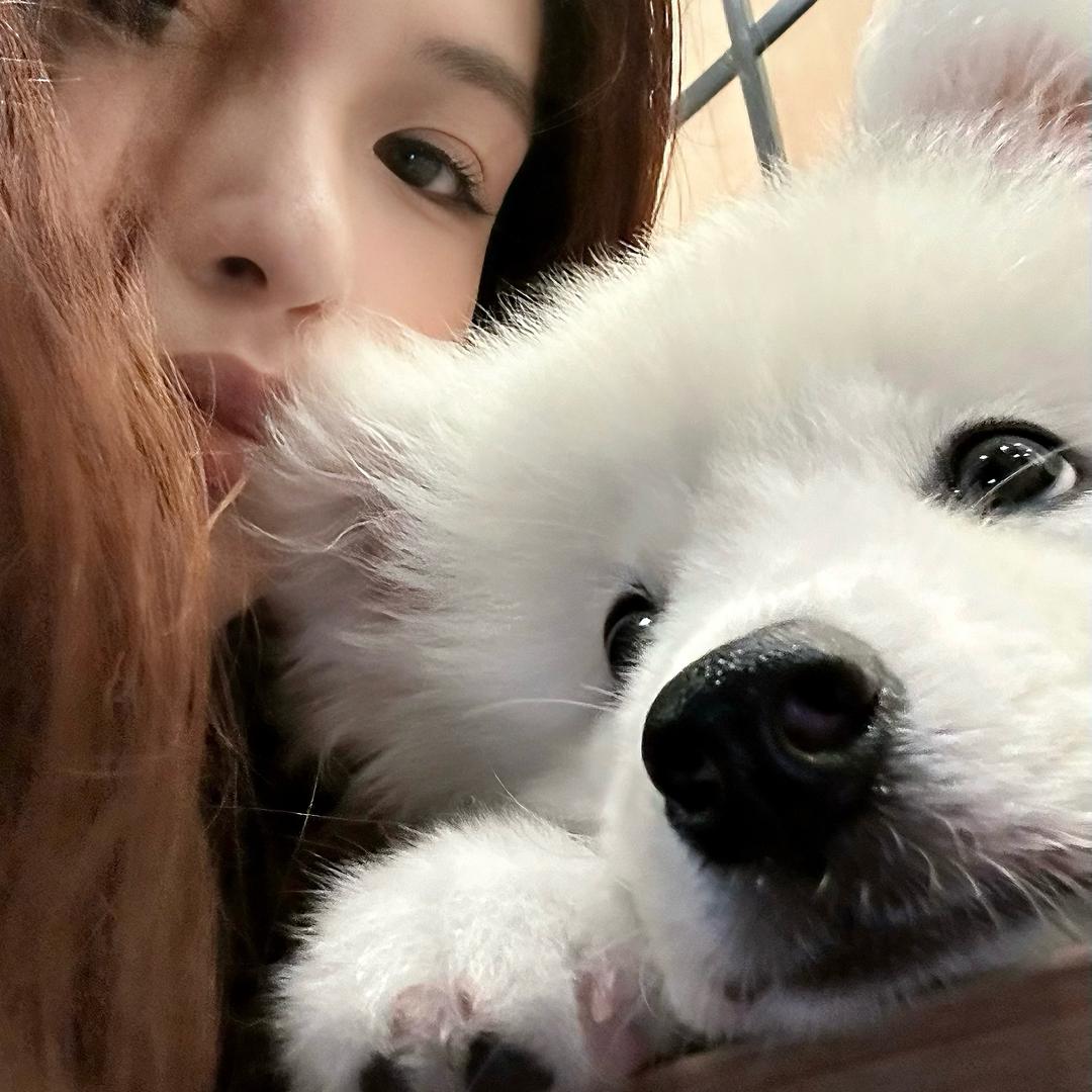 小华没才华