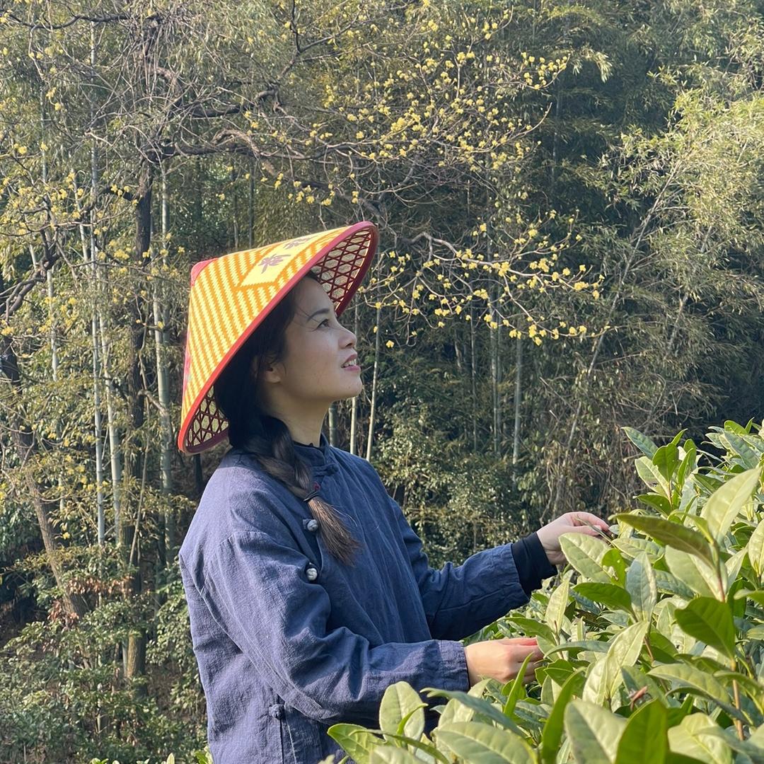 安吉白茶姑子