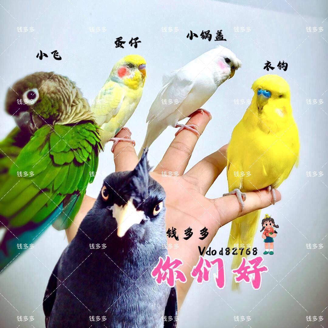 钱多多多