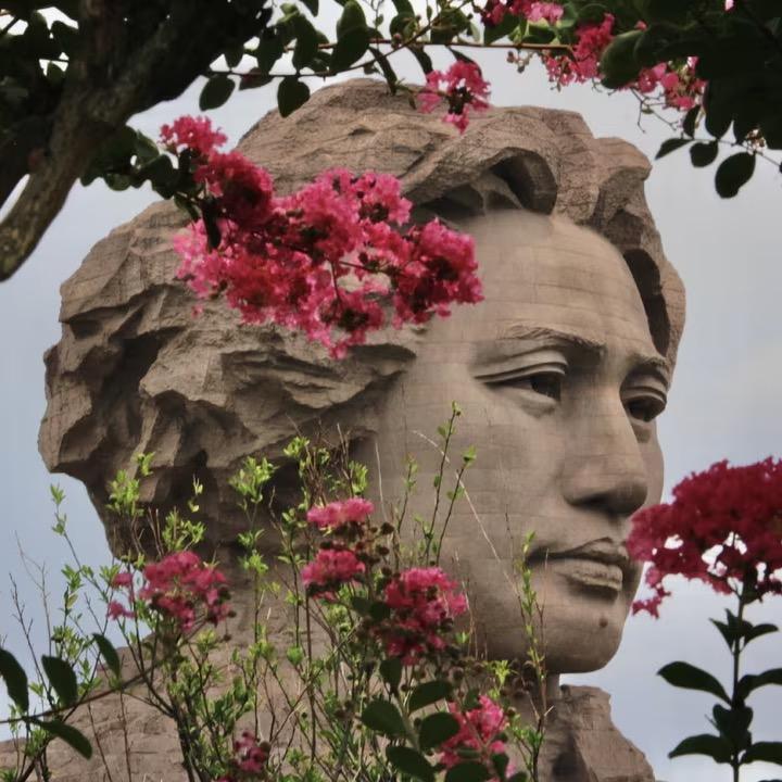 筱满农业专业服务合作社