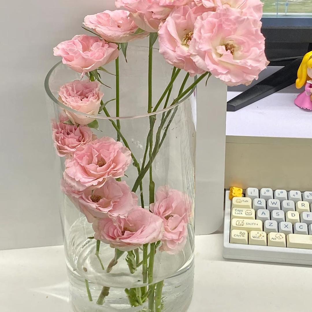 ᥫᩣ 洛月清秋🥤