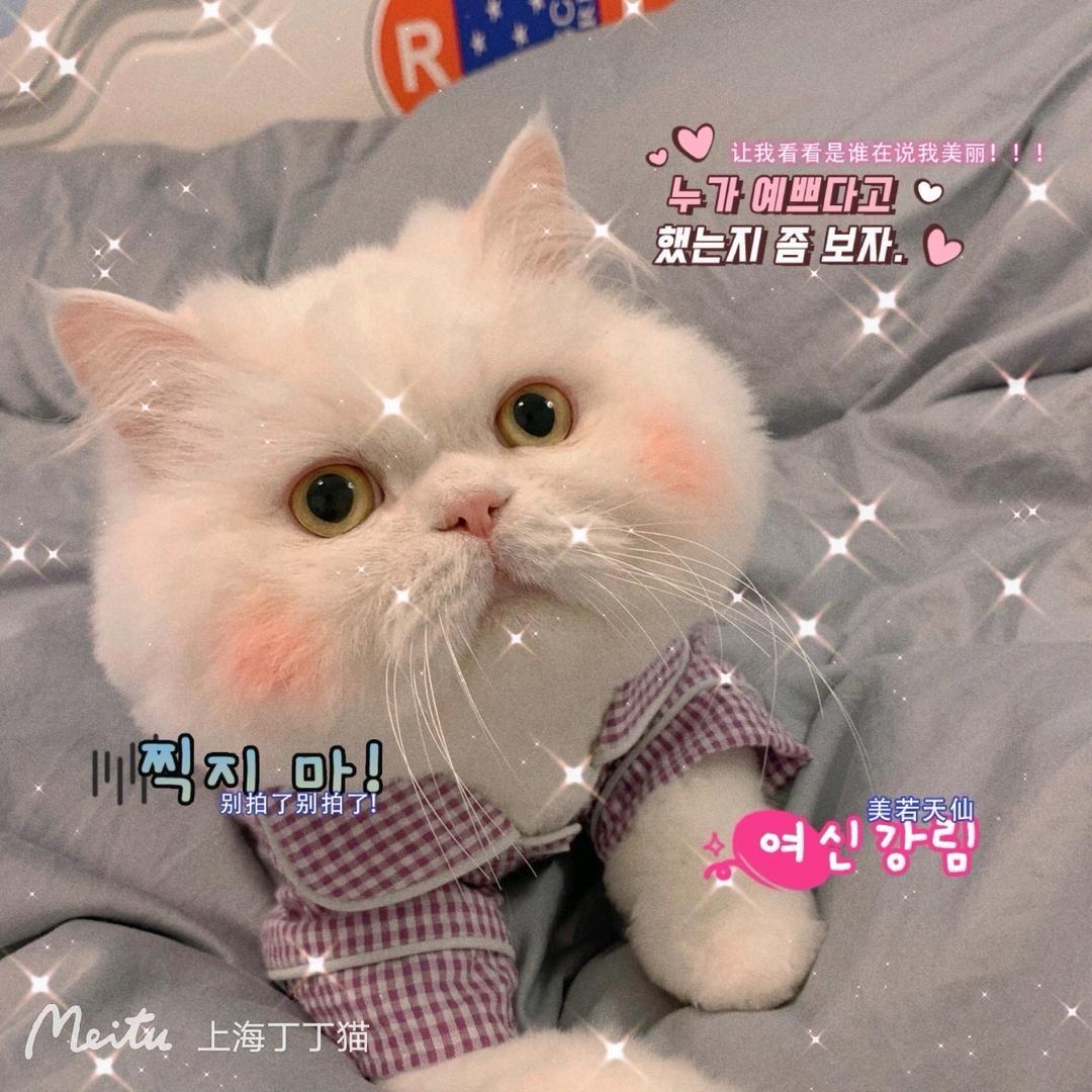 何开心