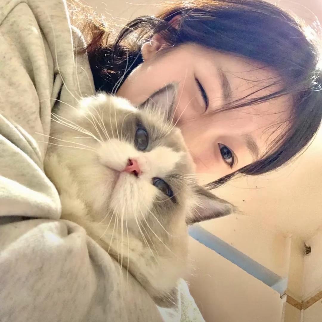 Hello鱼