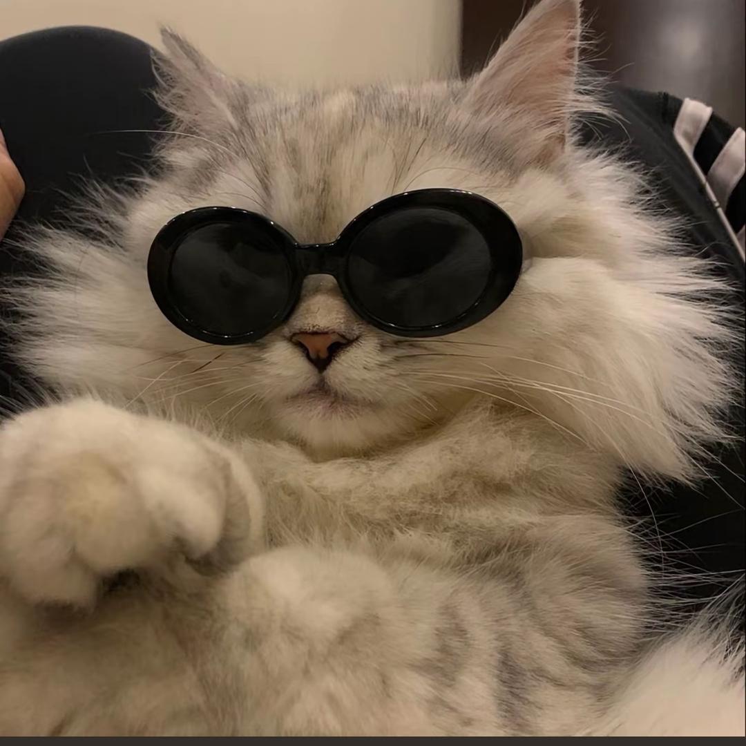 oi-