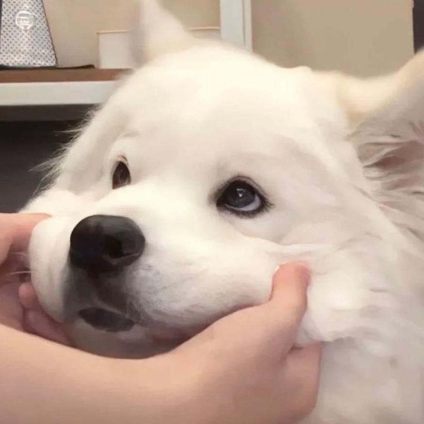 嘘什么嘘