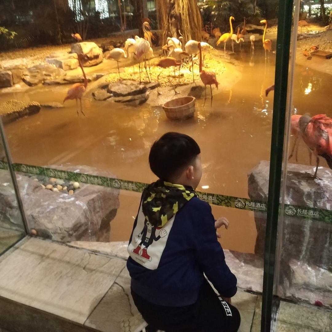 小可编程
