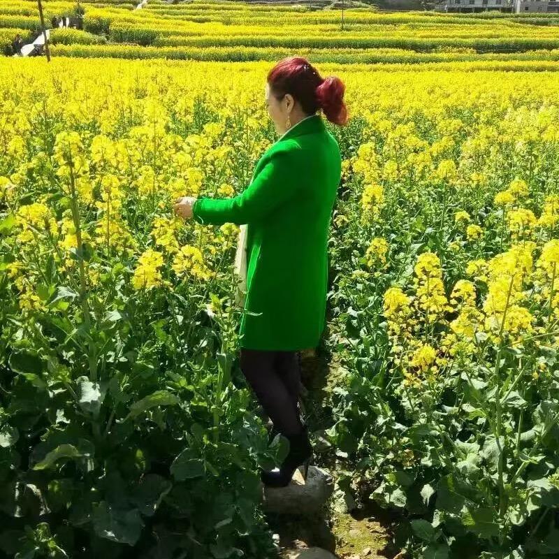 🌹腊梅花🌹