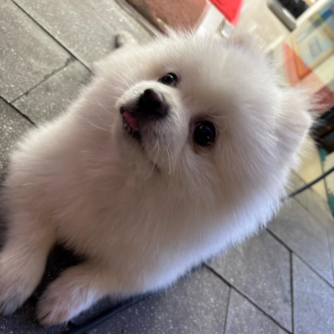 想念就见