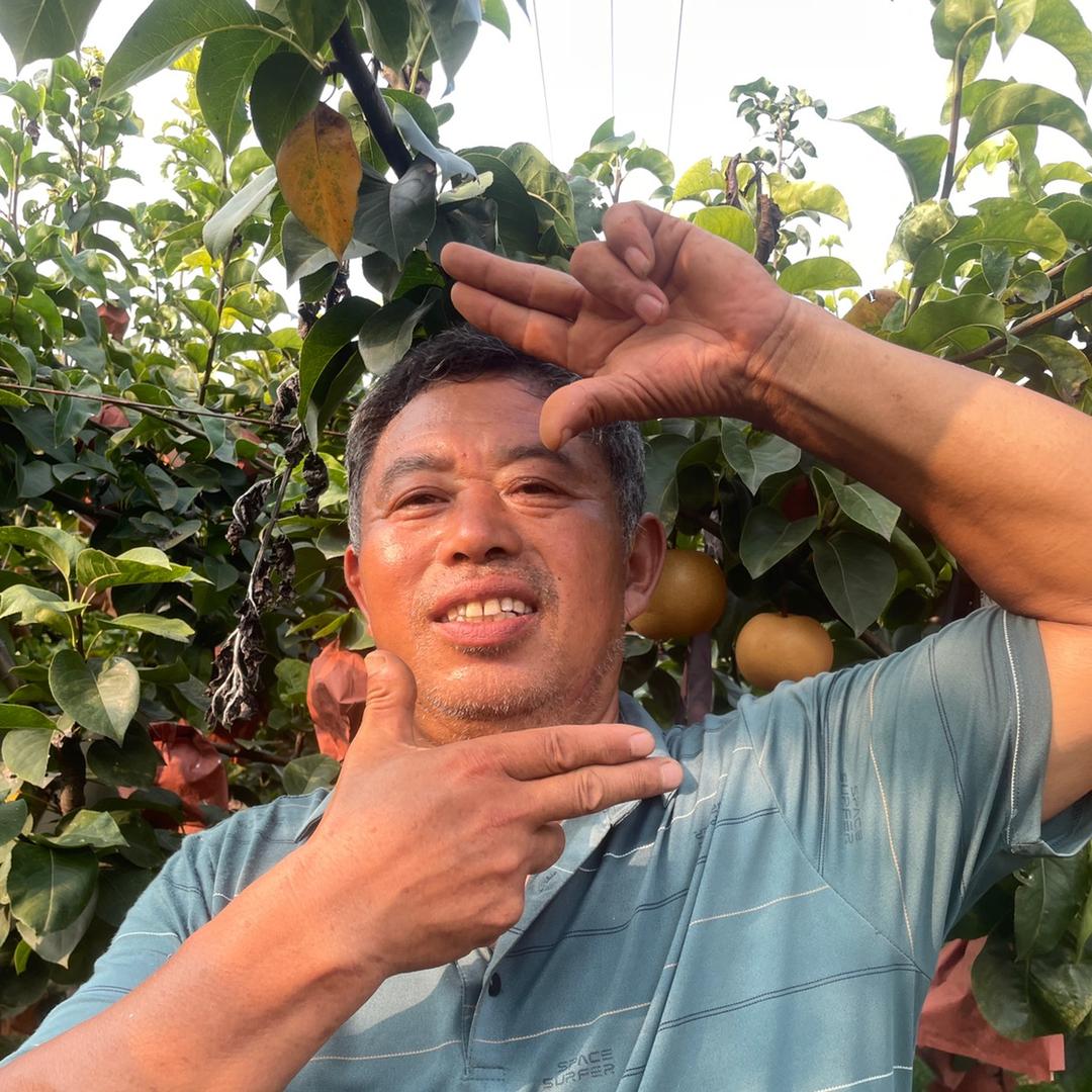 秋月梨二叔@抖音