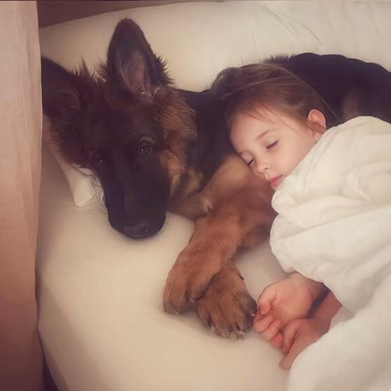 画个圈圈诅咒你