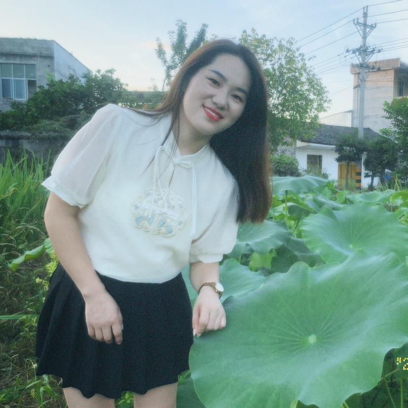 琴情