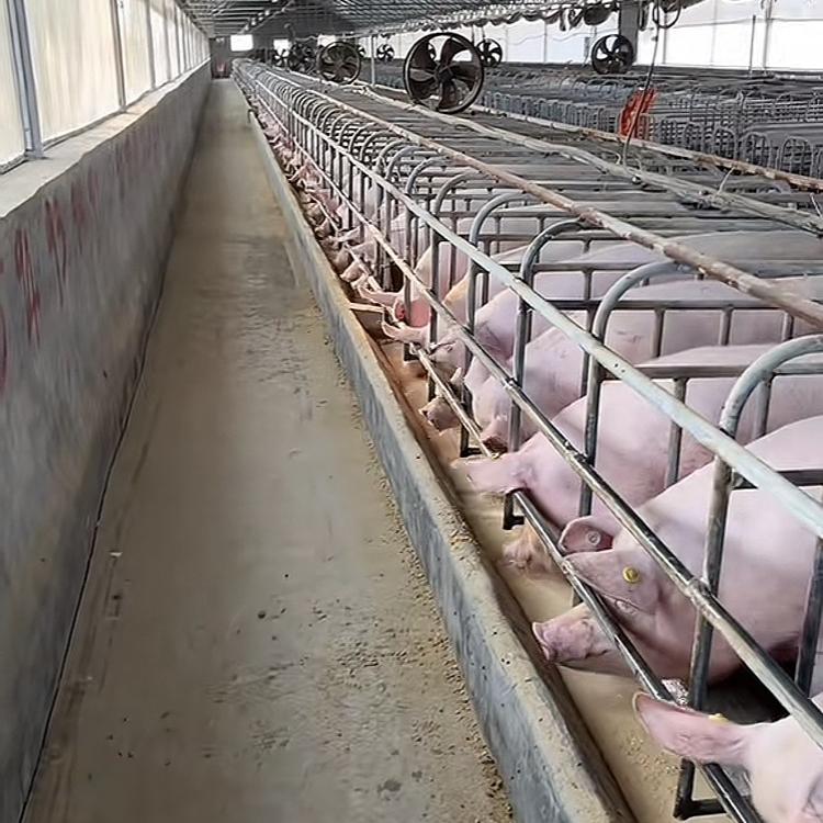 王厂长的养殖经