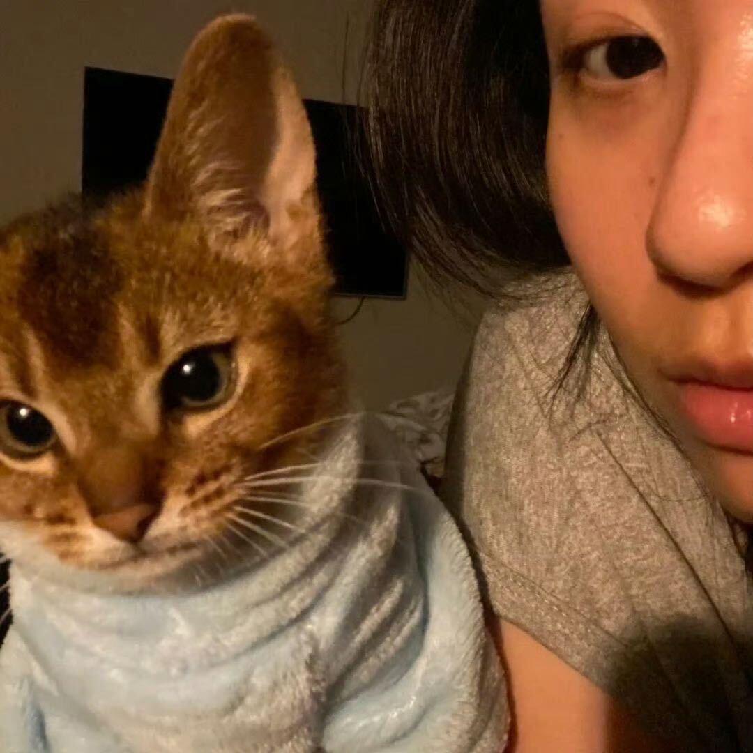 没烦恼！